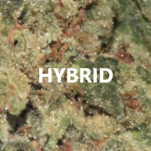 HYBRID