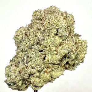 HYBRID - Gorilla Glue (Top Shelf)