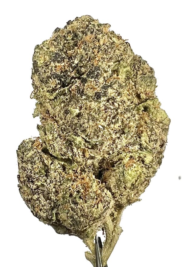 HYBRID - Certz (High Grade)