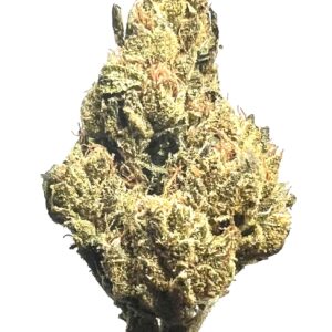 HYBRID - Gary Payton **$80 Oz Special**