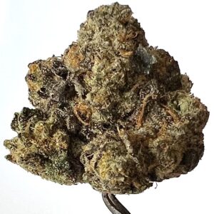 INDICA - Ube Cream (Private Reserve)