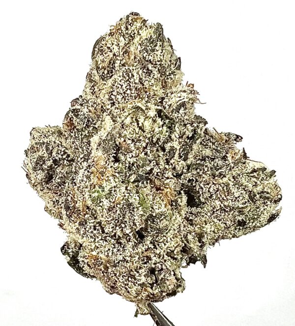 INDICA - Blueberry Z (Private Reserve)