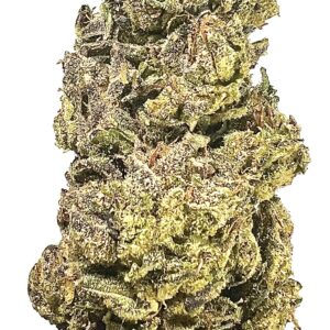 INDICA - Sin City $