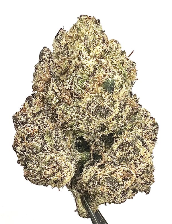 SATIVA - Cotton Candy Gelato (Private Reserve)