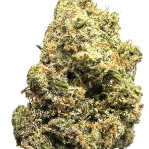 SATIVA - Jack Herer (High Grade)