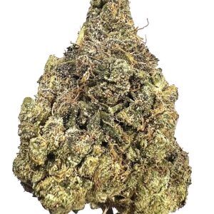 HYBRID - Zowahh (Top shelf)